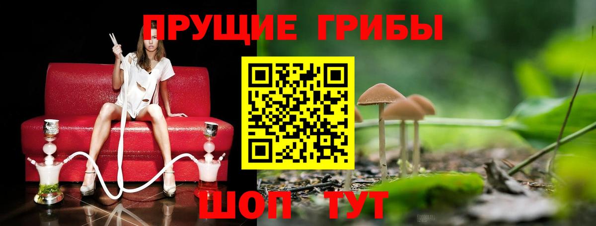 Псилоцибиновые грибы мухоморы  Псилоцибиновые грибы мицелий  Новотроицк  Вход с VPN 